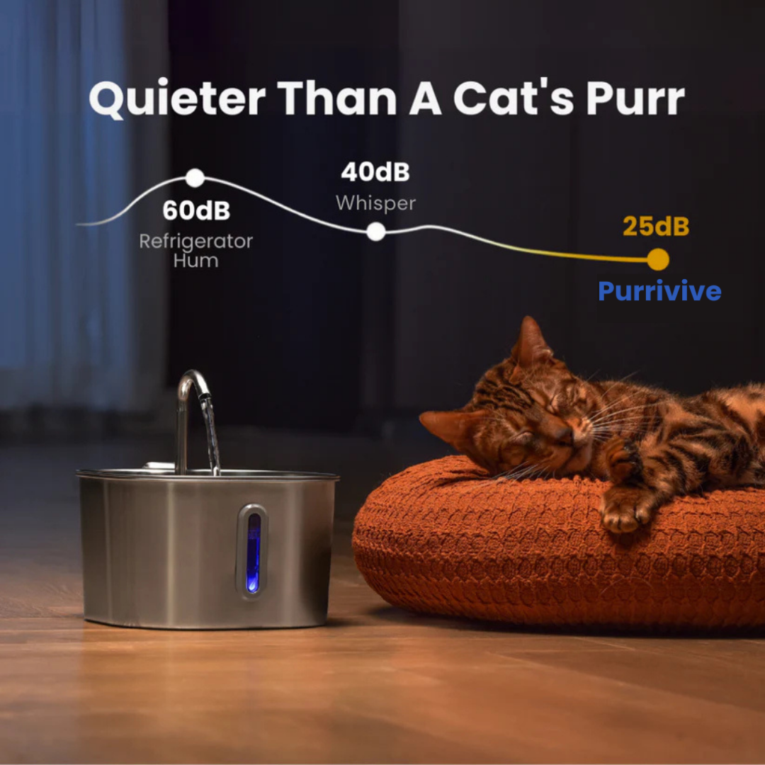 Purrivive™ Stainless Steel Fountain