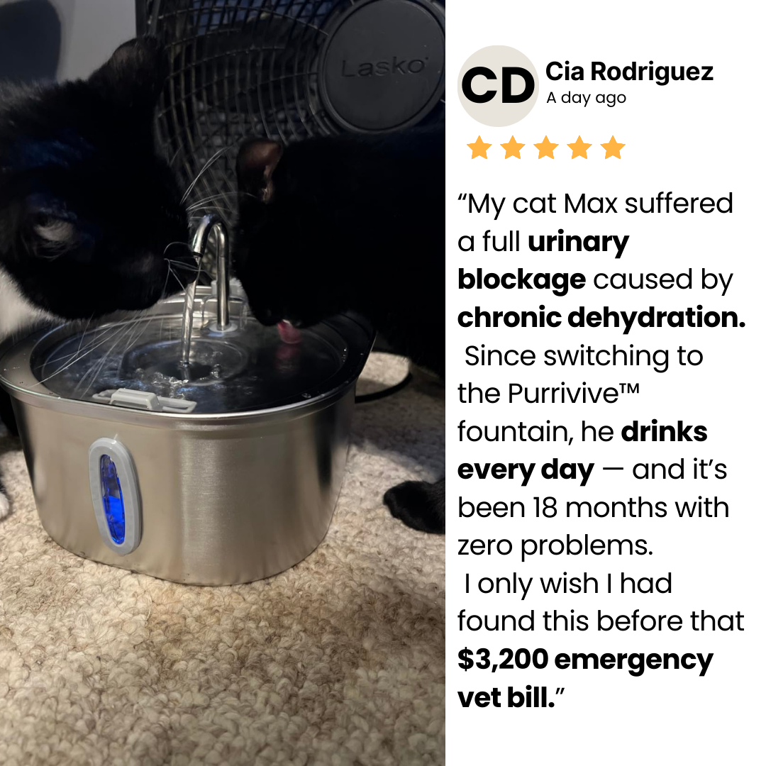 Purrivive™ Stainless Steel Fountain