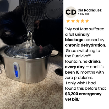 Purrivive™ Stainless Steel Fountain